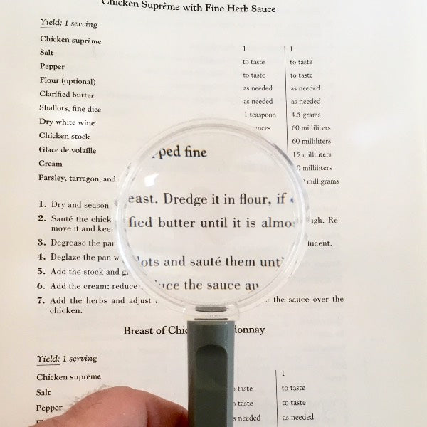 Handheld Magnifier, with 3x 2.5" Lens, with Storage  Case 